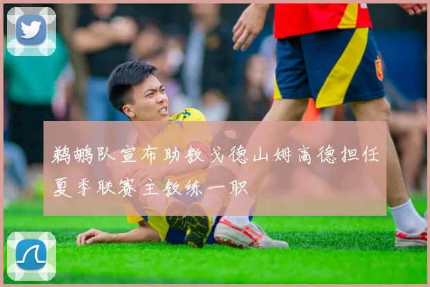 鹈鹕队宣布助教戈德山姆高德担任夏季联赛主教练一职