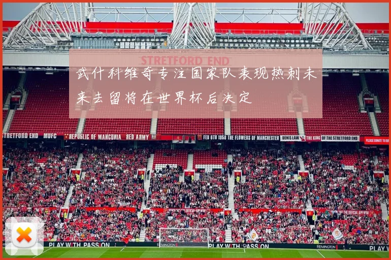 武什科维奇专注国家队表现热刺未来去留将在世界杯后决定