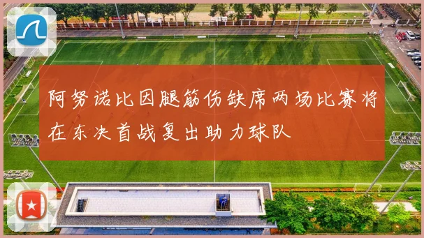 阿努诺比因腿筋伤缺席两场比赛将在东决首战复出助力球队