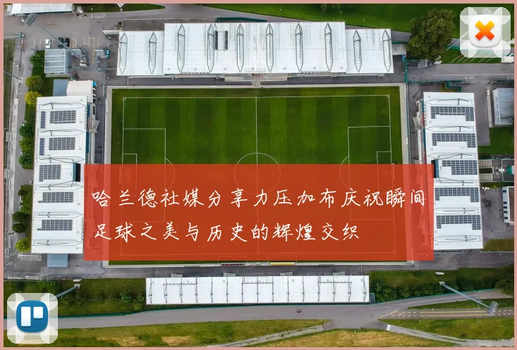哈兰德社媒分享力压加布庆祝瞬间足球之美与历史的辉煌交织